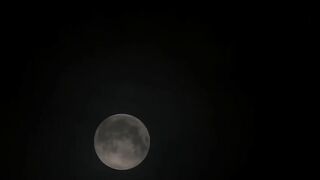 ADN-734 [中文字幕] 当夫面交合，人妻背德沉沦，欲火焚心吟輓歌 - 小野坂唯香